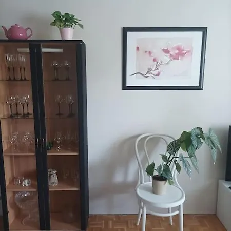 Apartment Saunallinen Viihtyisae Kaksio Keskustan Tuntumassa Kouvola