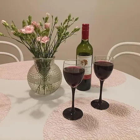 Saunallinen Viihtyisae Kaksio Keskustan Tuntumassa